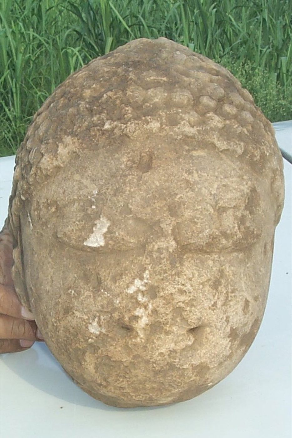 Carved stone head recovered from the fields around Parasnath Durg